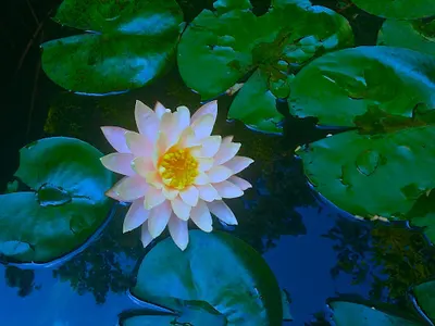 Prywatna Praktyka Psychologiczna MAGDALENA STECZKOWSKA